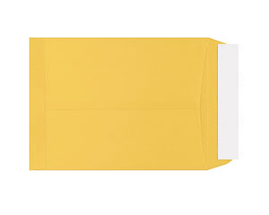 Aploksne C3 (321*458) palmjo